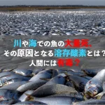 <span class="title">川や海での魚の大量死、その原因となる溶存酸素とは？人間には有毒？</span>
